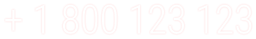 + 1 800 123 123