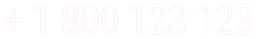 + 1 800 123 123